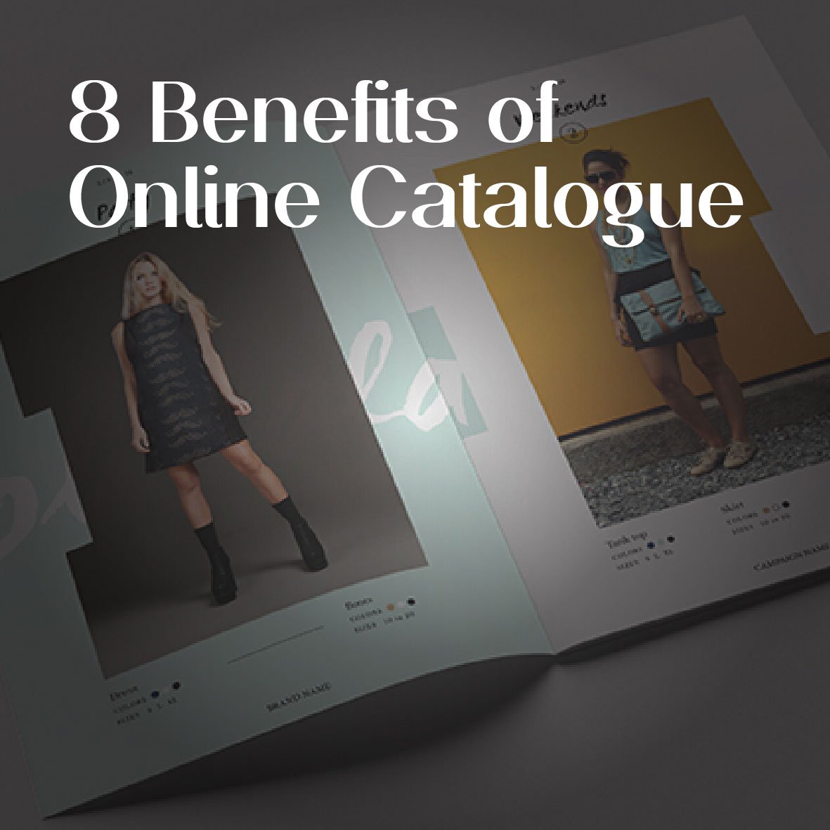 Importance of online catalogue EN